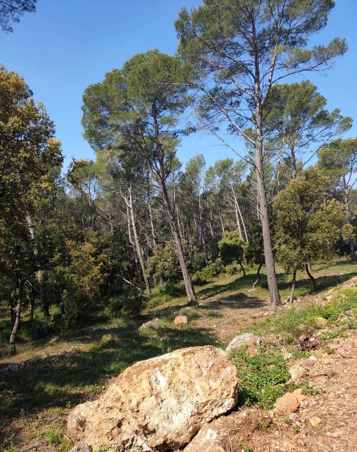 Les Hauts Du Peireguier La Motte  Luaran gambar